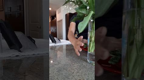 Valentine's!! - YouTube