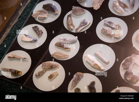 Mesolithic Tools