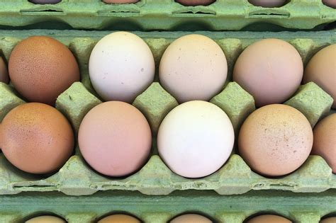 Products | Premium Beef, Pork, Poultry, & Eggs — Valley Farms
