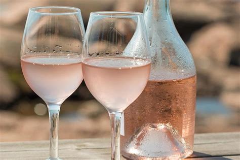 8 Irresistible Pinot Noir Rose Wines (Tasting Notes, Food Pairings)