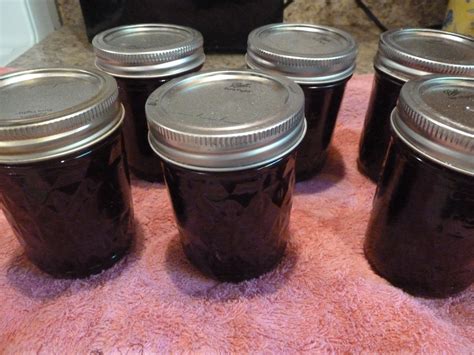 crabapple recipes jam 3