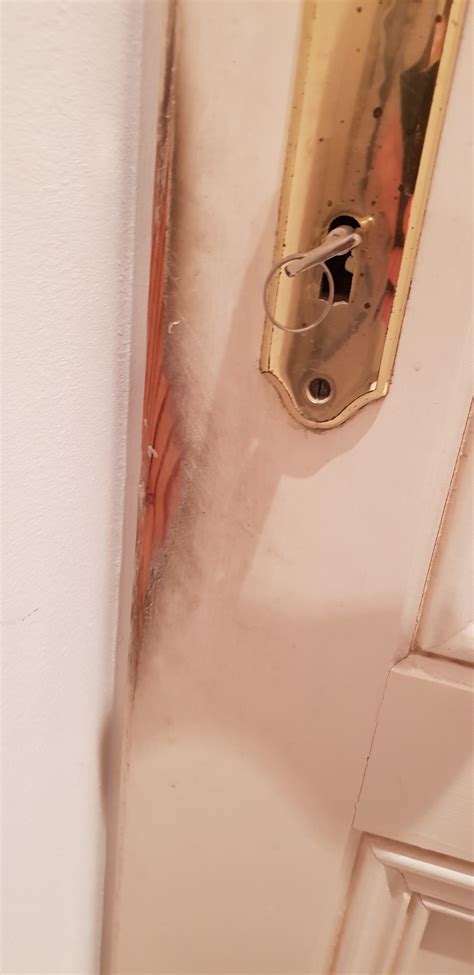 Door in my Airbnb : r/Wellworn