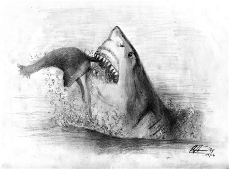 Great White Shark by Brukers on DeviantArt