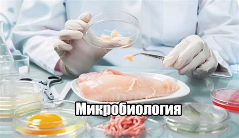 Подборка учебников по Микробиологии⚕ | Умный Медик | ВКонтакте