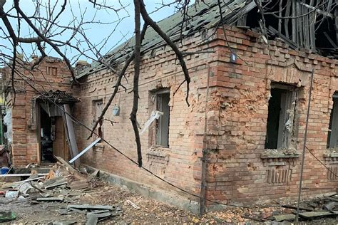«Втратила і дім, і сенс життя» - у Нікополі віддають породистих котів ...