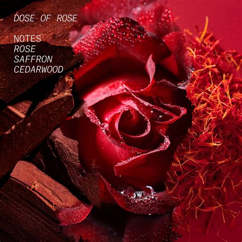 Dose Of Rose Eau De Parfum • 50ml