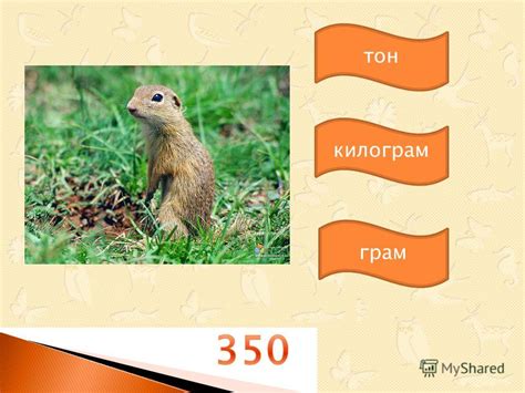 Презентация на тему: "тон килограм грам тон килограм грам килограм тон ...
