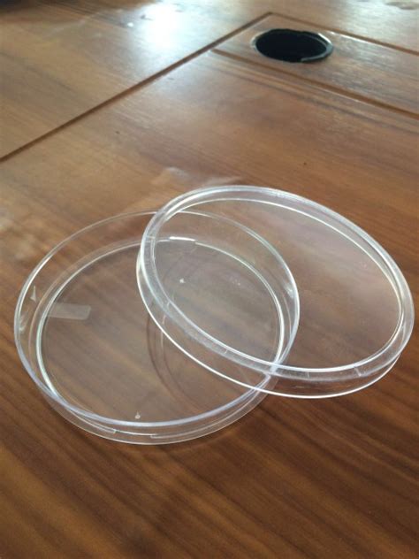petri dish  rs piece petri dish  aurangabad id