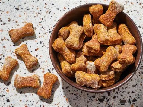 Pumpkin For Dogs: The Perfect Digestive Aid for Your Furry Friend ...