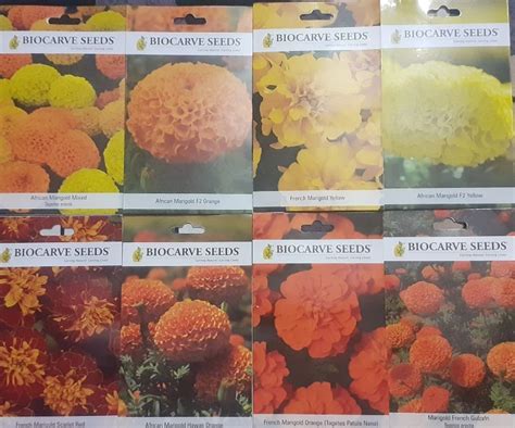 Buy Marigold Seeds online from Posan Plant Nursery (PPN)