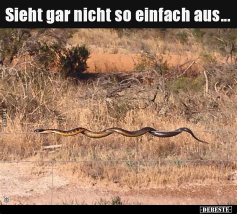 Sieht gar nicht so einfach aus... - DEBESTE.de