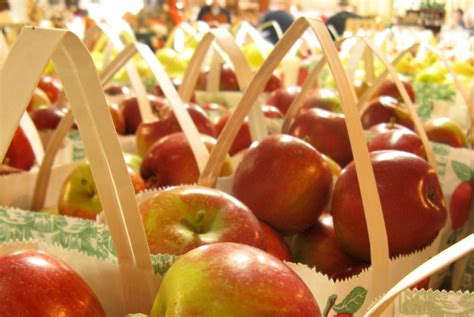 11 Apple Picking Tips to Know - Top Apple Picking Farms Near You