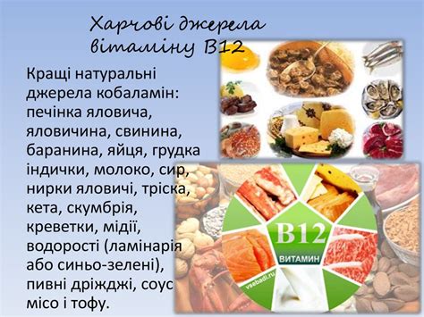 Вітамін В12 - презентация онлайн