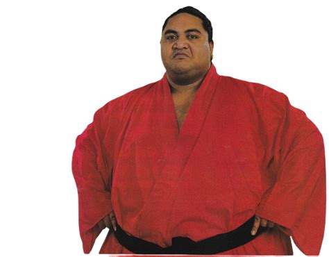 Yokozuna by wildcharmander92 on DeviantArt