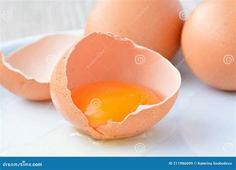 raw egg  shell stock image image  shell natural