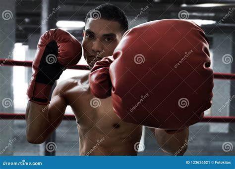 Boxer Athlete Training in the Gym Stock Image - Image of concept, muscular: 123626521