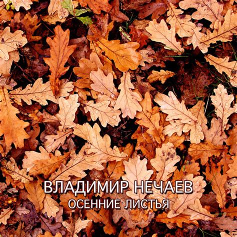 Осенние листья - YouTube Music