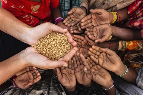 Goal 2: Zero Hunger - United Nations Sustainable Development Goals