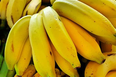 Banana Prata Da Gases - Banana não é tudo igual: conheça os benefícios de cada tipo