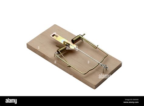 mouse trap  res stock photography  images alamy
