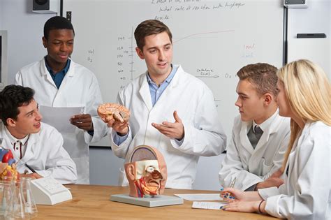 Cours Physiologie Va C Ga C Tal Niveau L2 8