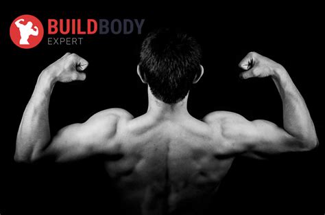 Тяга Т-грифа в наклоне: техника выполнения упражнения | BuildBody.Expert