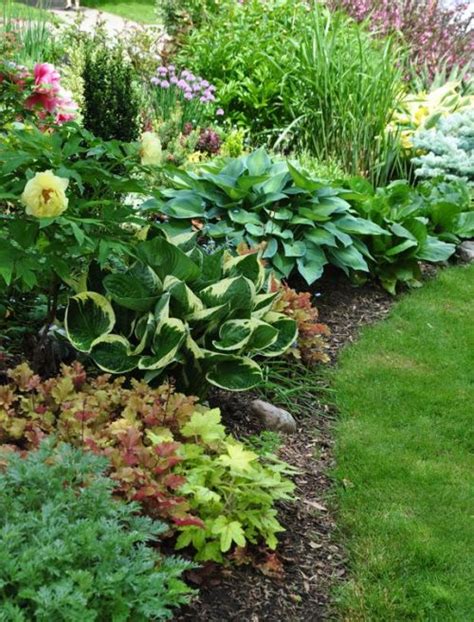 Flower Garden: Photo