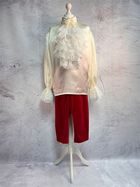 Men's Versailles Costume - Finely Detailed Costume of a French Nobleman
