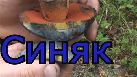 Синяк - YouTube