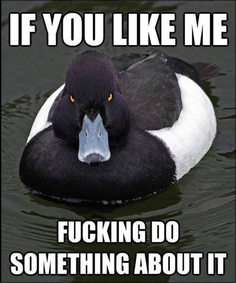 lets   happen meme guy