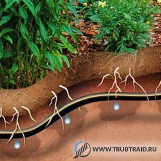 7 видов труб для автополива | Труба для полива газона, теплиц и огорода