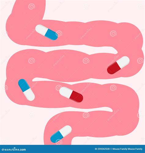 Cute Cartoon Intestine and Medicament Pills. Abdominal Cavity Digestive