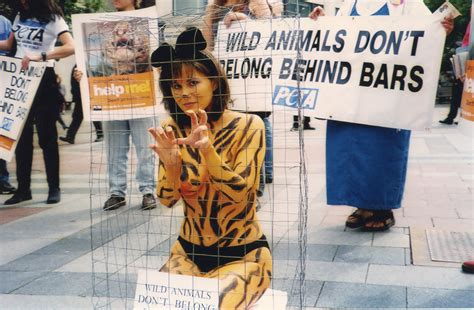 What does PETA stand for? How the notorious organization fights against