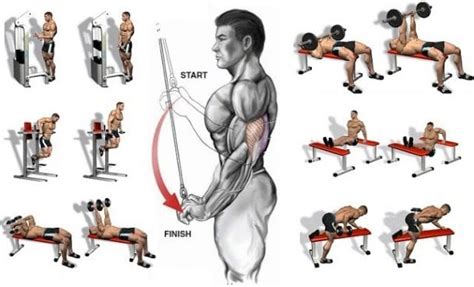 Best Exercises To Build Amazing Triceps - VALENTIN BOSIOC
