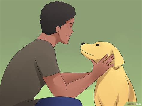 Jak masírovat psa – wikiHow