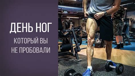 Необычная тренировка ног | Тренировка ног, Тренировки, Бодибилдинг