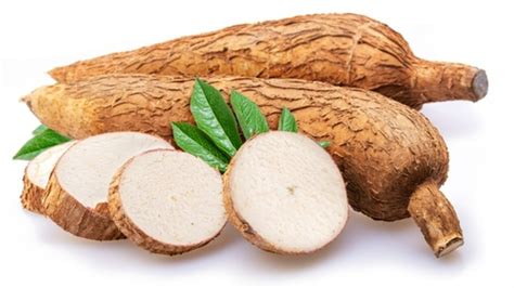 Cassava - Rezepte Suchen