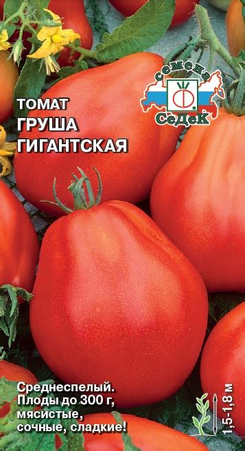 Томат Груша Гигантская оптом и в розницу - купить с доставкой почтой по ...
