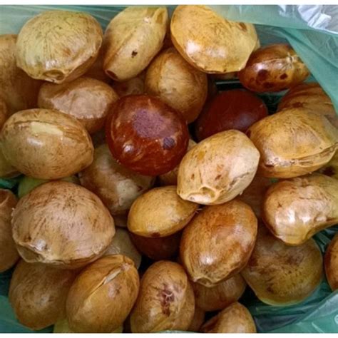 ready stock jering tua kopek jengkol tua jering muda jering