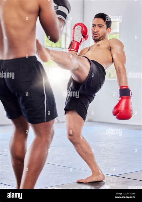 Fitness, kickboxing and mma training, exercise and fight workout in gym ...
