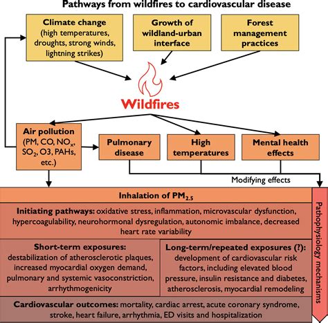 Protecting Cardiovascular Health From Wildfire Smoke | Circulation
