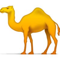 Верблюд PNG