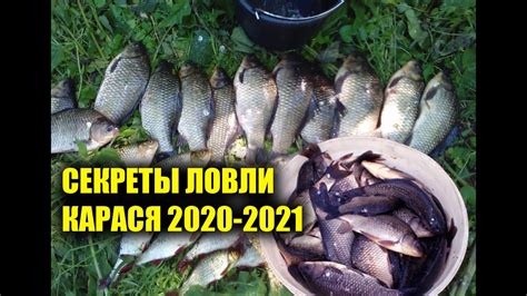 Секреты для ловли карася в холодной воде. Ловля карася осенью,зимой и ...