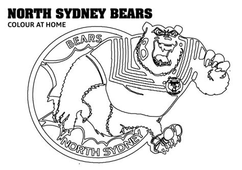 News - North Sydney Bears