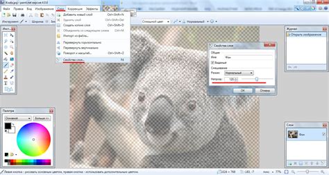 Как сделать картинку прозрачной в Paint.NET?