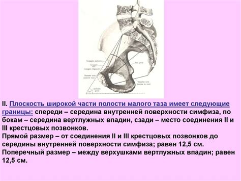 Анатомия и физиология женских половых органов - презентация онлайн