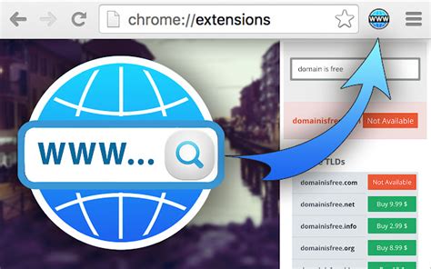 Domain Check Plugin - Chrome Web Store