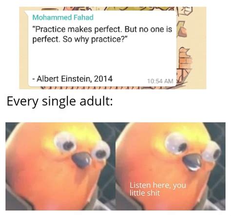 practice  perfect   rmeme