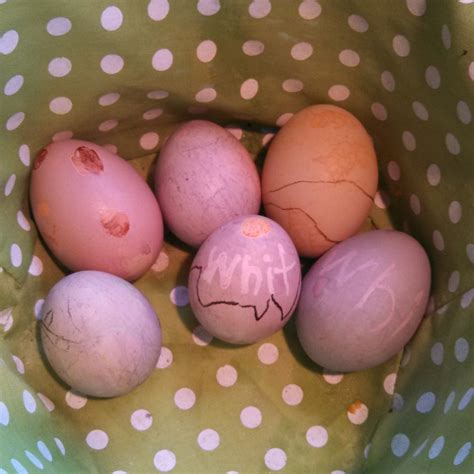 The Griffin Family: Our first Vermont Spring