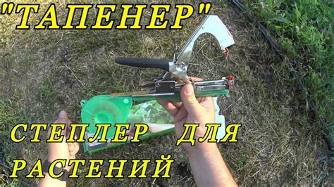"Тапенер" - или "Степлер для подвязки растений". Честный обзор ...